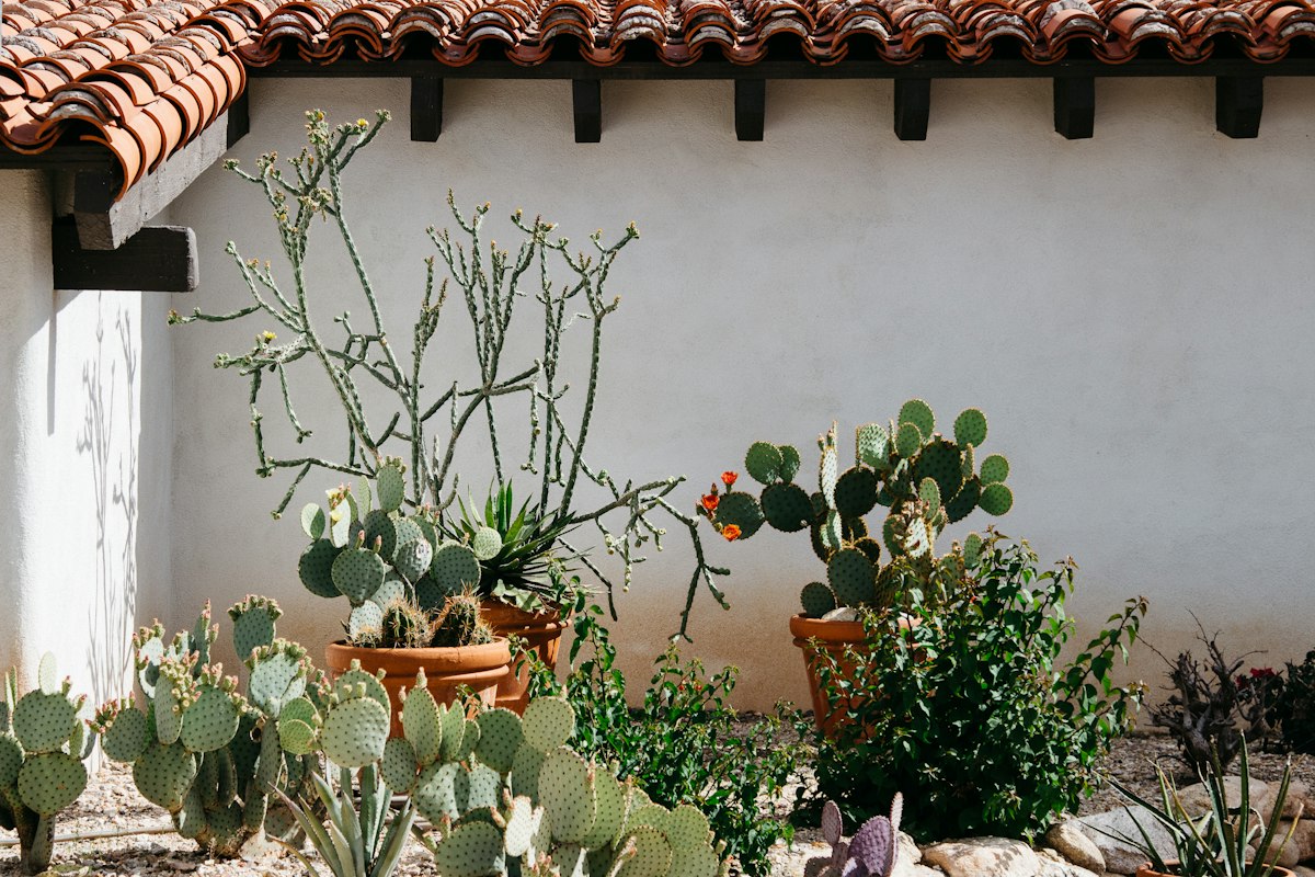 White wall under a terracotta eave with potted plants
